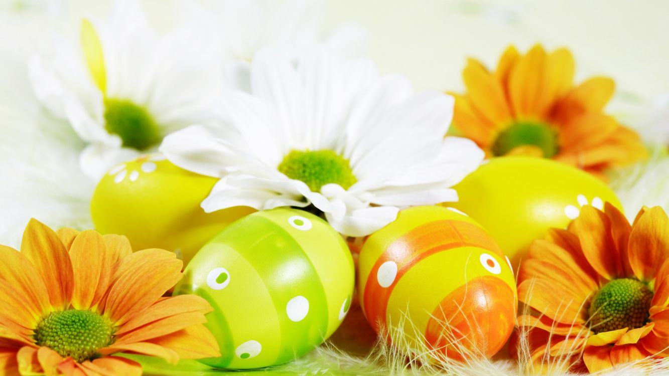 easter egg, yellow, flower, petal, still life