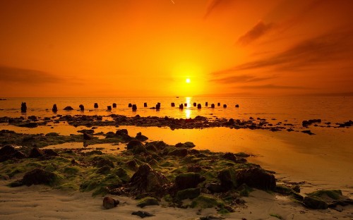 Image people on beach during sunset