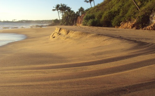 Image brown sand near body of water during daytime