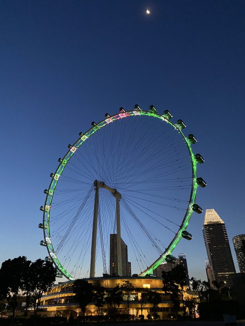 Image singapore attractions, ferris wheel, nature, daytime, metropolis