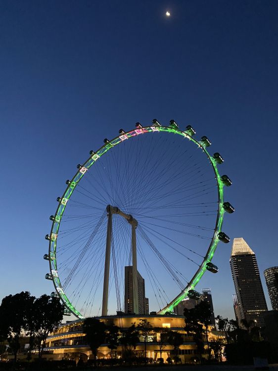 Singapur Attraktionen, Riesenrad, Natur, Tageszeit, Metropole. Wallpaper in 1536x2048 Resolution