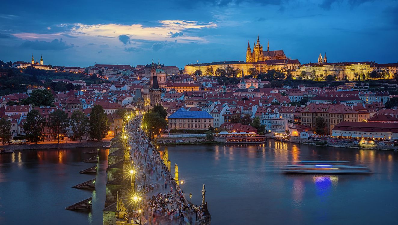 lighted city buildings near body of water during night time