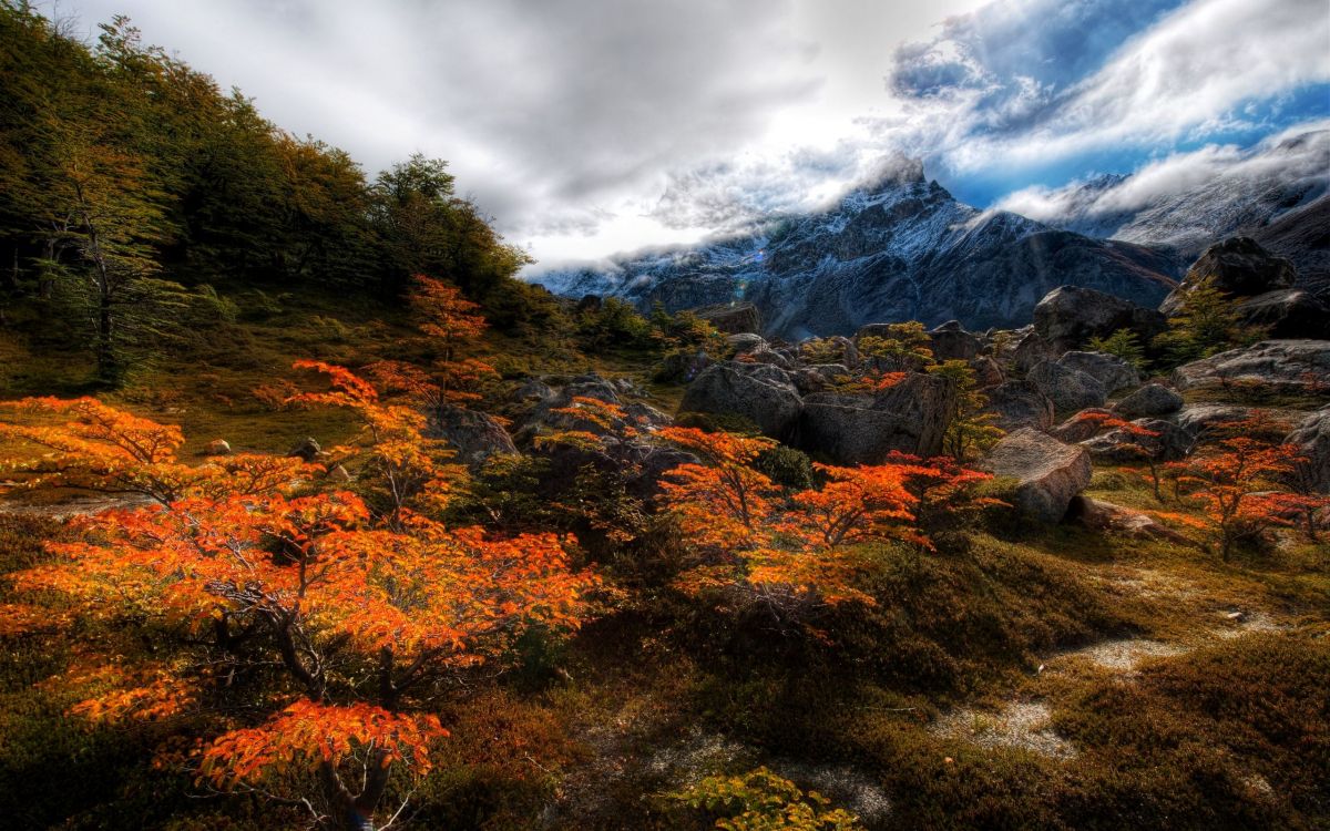 green and brown trees near mountain under white clouds during daytime