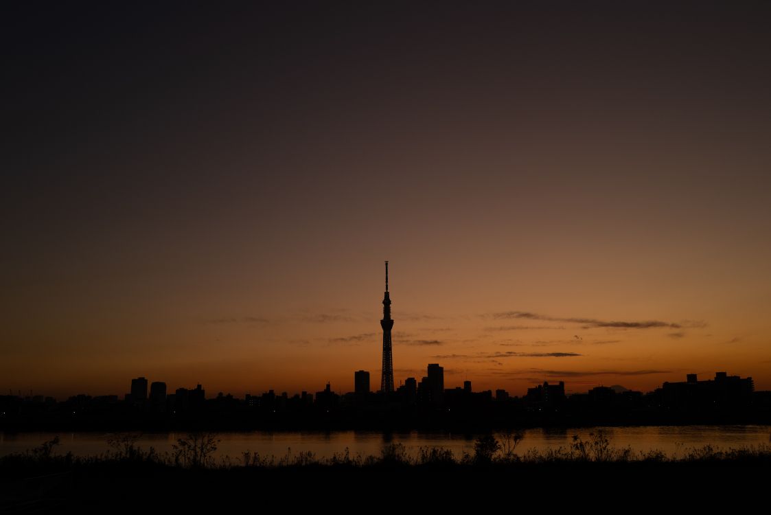 silhouette of city buildings during sunset