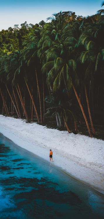 Agua, Los Recursos de Agua, Naturaleza, Entorno Natural, Playa. Wallpaper in 1421x3000 Resolution