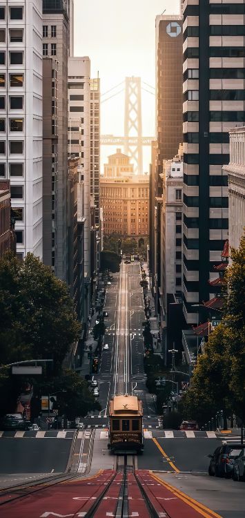 Peter Saga, Gebäude, Wolkenkratzer, Licht, Infrastruktur. Wallpaper in 1439x3038 Resolution