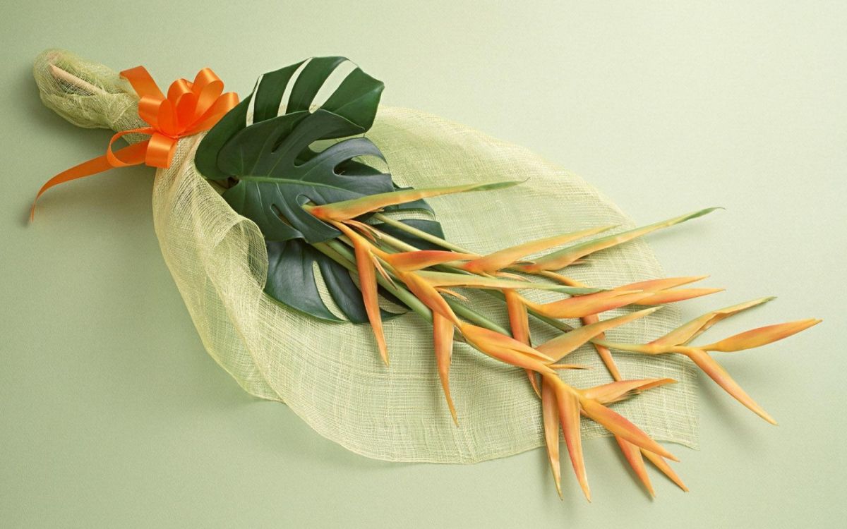 orange and green leaves on white textile