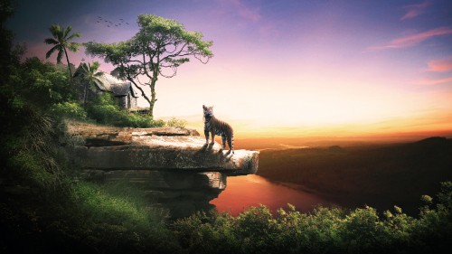 Image brown and black giraffe on brown rock formation during sunset