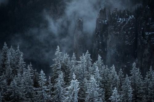 Image mountain, nature, biome, fir, spruce fir forest