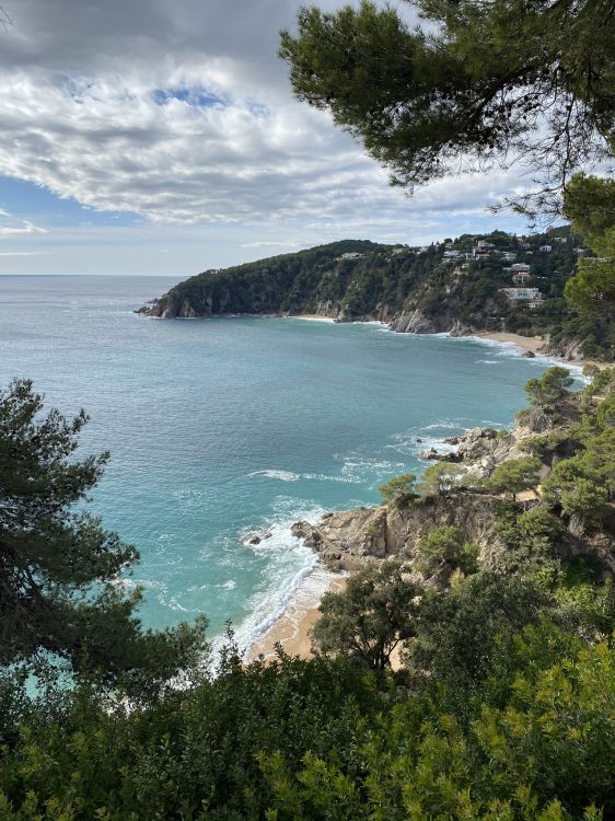 海岸, 人体内的水, 性质, 多山的地貌, 植被 壁纸 1536x2048 允许