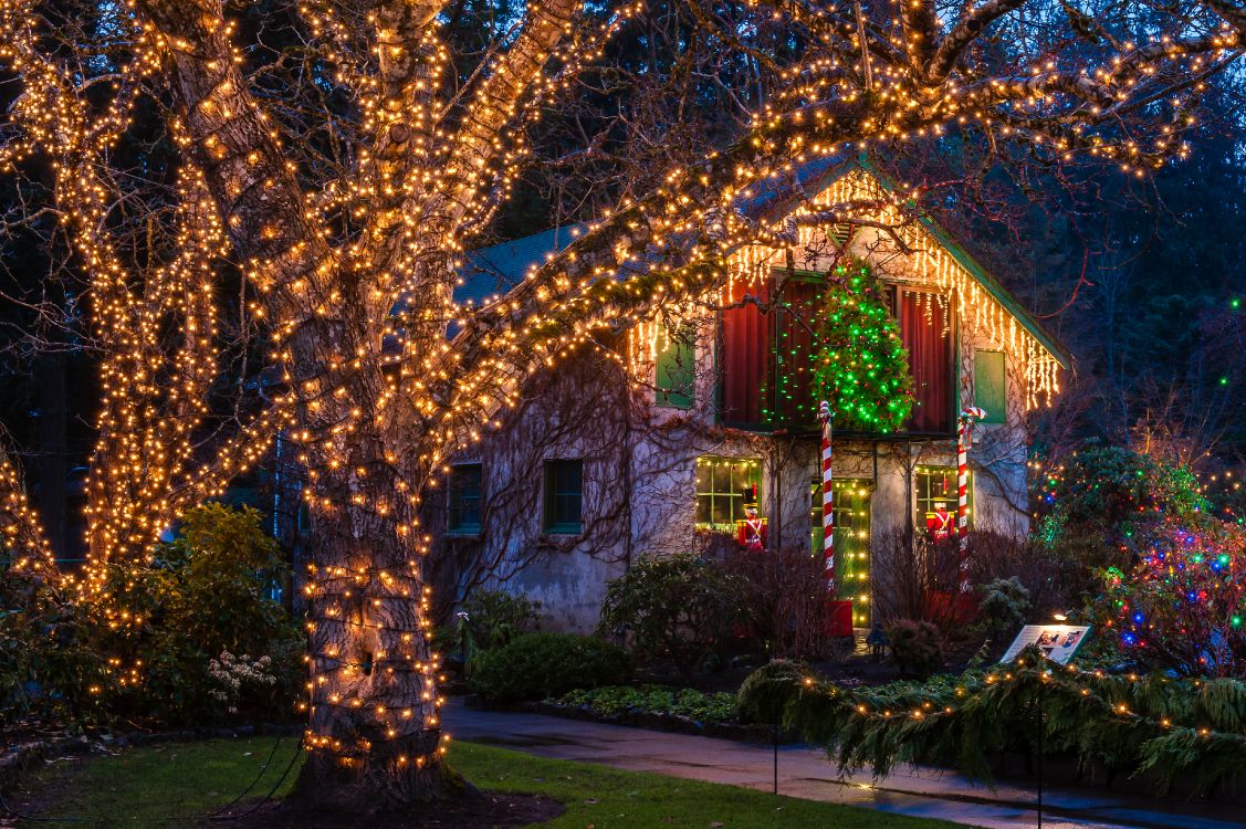 Vancouver, Weihnachten, Neujahr, Weihnachtsbeleuchtung, Baum. Wallpaper in 4100x2728 Resolution