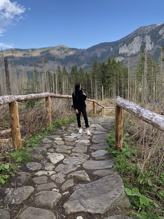 path, mountain range, jacket, mountain, wilderness