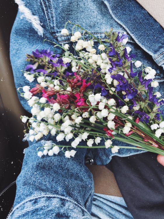 Les Fleurs Coupées, Design Floral, Bouquet de Fleurs, Sciences, Blue. Wallpaper in 3024x4032 Resolution