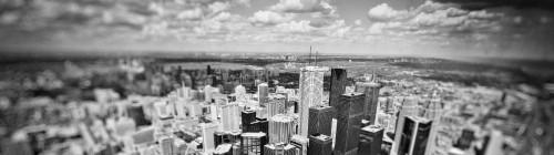 Image grayscale photo of city buildings