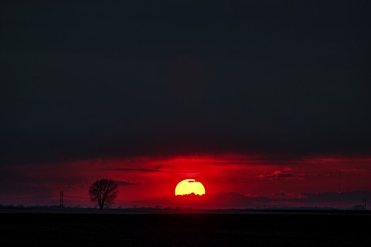 Wallpaper Silhouette of Trees During Sunset, Background - Download Free ...