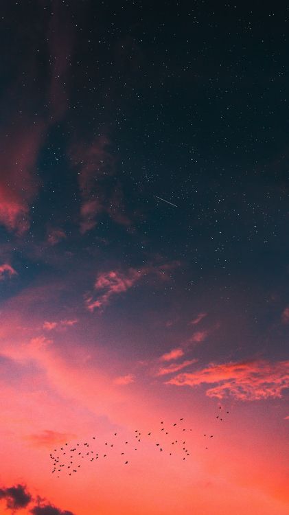 Coucher de Soleil Nike, Nature, Atmosphère, Paysage Naturel, Afterglow. Wallpaper in 2160x3840 Resolution