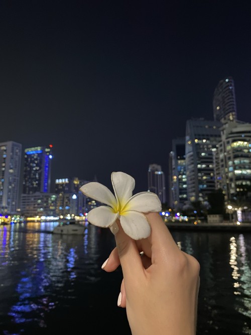 Image reflection, water, finger, petal, flower