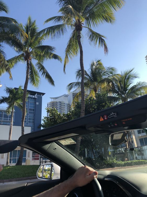 Miami, Mitte Größe Auto, Kfz-Spiegel, Baum, Automotive Exterieur. Wallpaper in 1536x2048 Resolution