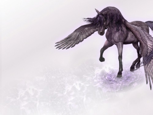 Image black horse on white snow