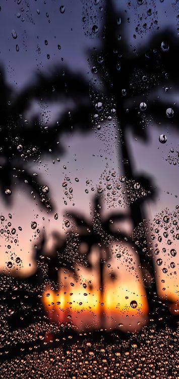 Wasser, Atmosphäre, Licht, Natur, Schwarz. Wallpaper in 1422x3000 Resolution