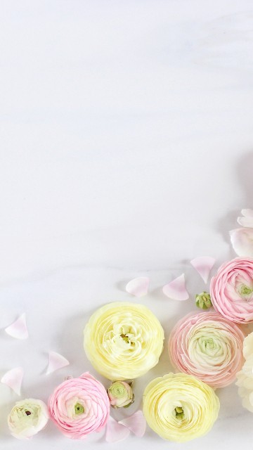 Image pink and white roses on white textile