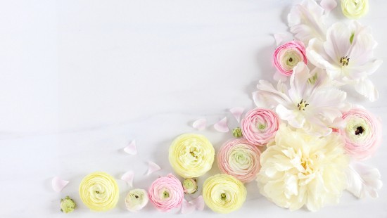 Image pink and white roses on white textile