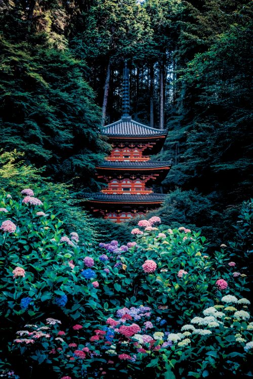 Gansenji, Komisch, Blatt, Natürlichen Umgebung, Botanik. Wallpaper in 1334x2000 Resolution