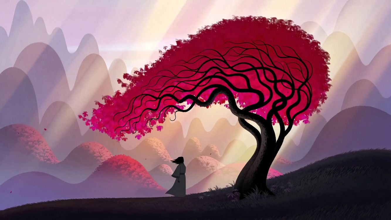 Samurai Jack, Samurai Jack Bataille à Travers le Temps, Je, Samurai Jack Saison 5, Série D'animation. Wallpaper in 2560x1440 Resolution