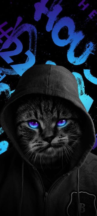 Gato, Gato Negro, Azure, Negro, Felidae. Wallpaper in 1080x2400 Resolution