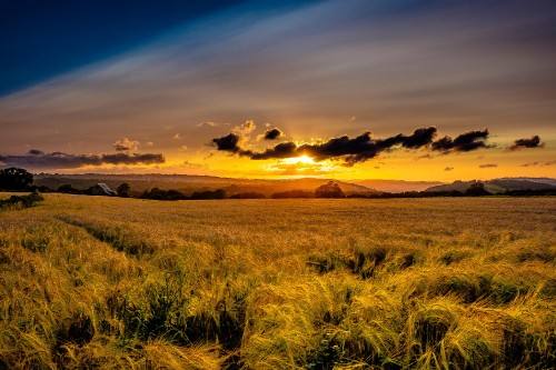 Image green grass field under blue sky during daytime