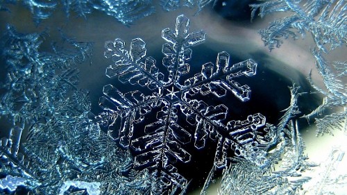 Image silver snow flakes on white and blue textile