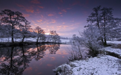 Image body of water near trees during daytime