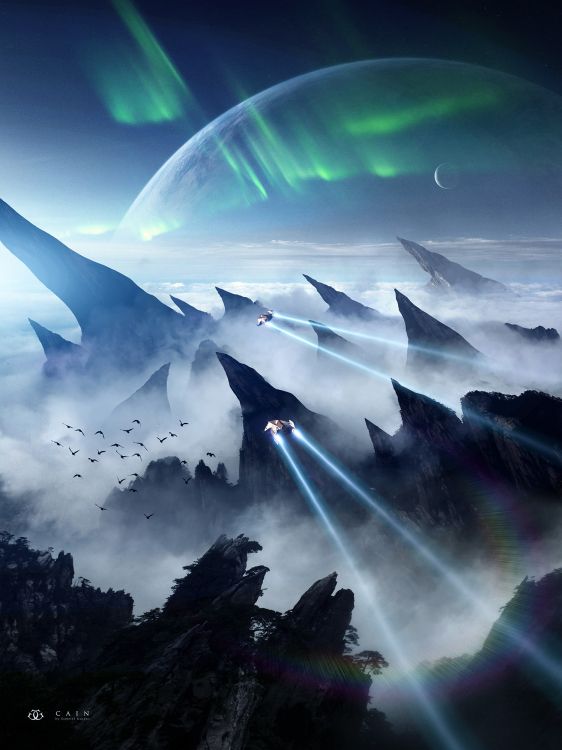 Silhouette D'arbres Sous Des Nuages Blancs. Wallpaper in 1500x2000 Resolution