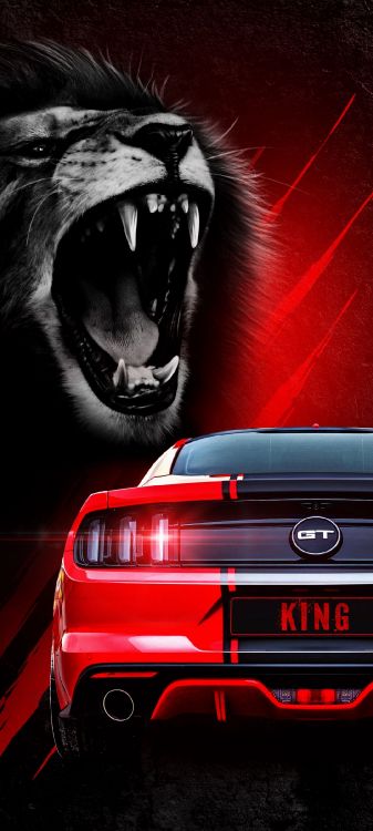 Car, Sportwagen, Volkswagen, Automotive Lighting, Kapuze. Wallpaper in 1080x2400 Resolution