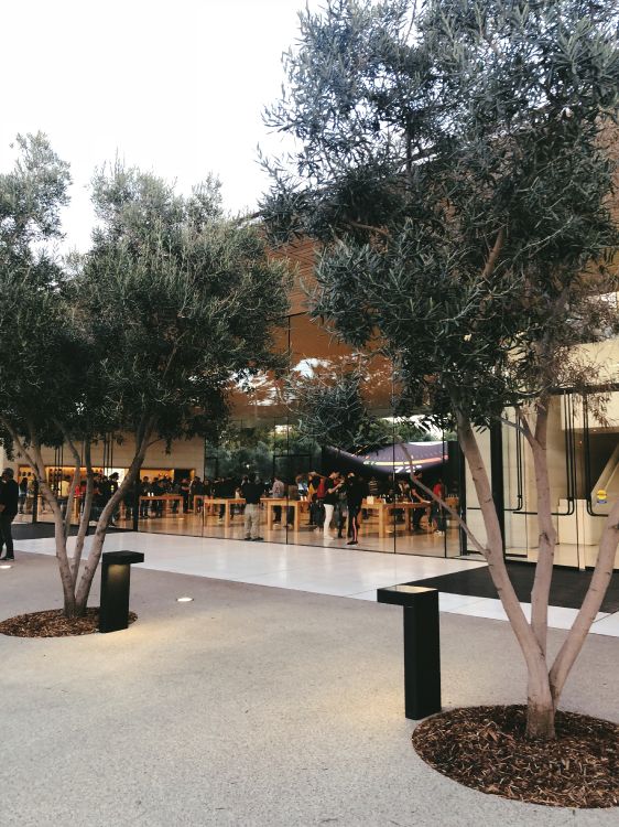 科学, 生物学 壁纸 3024x4032 允许