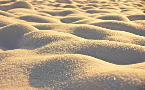 Image brown sand with footprints during daytime