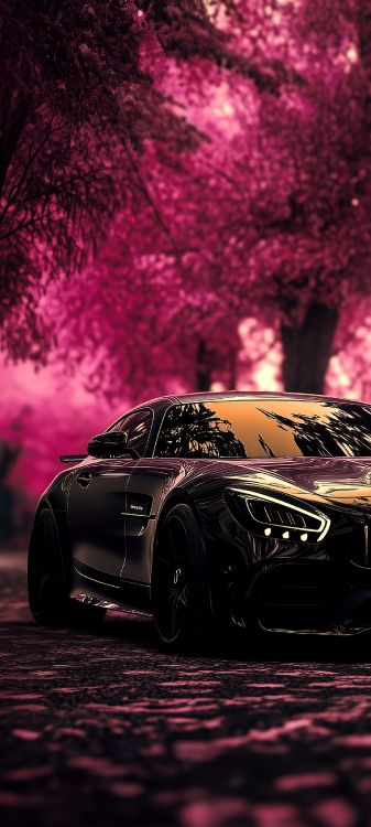 Coche, Deportivo, Nissan gt r, Maybach Exelero, Nissan Skyline gt r. Wallpaper in 1440x3200 Resolution