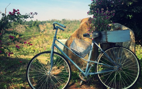 Image blue city bike with brown and black hat on top