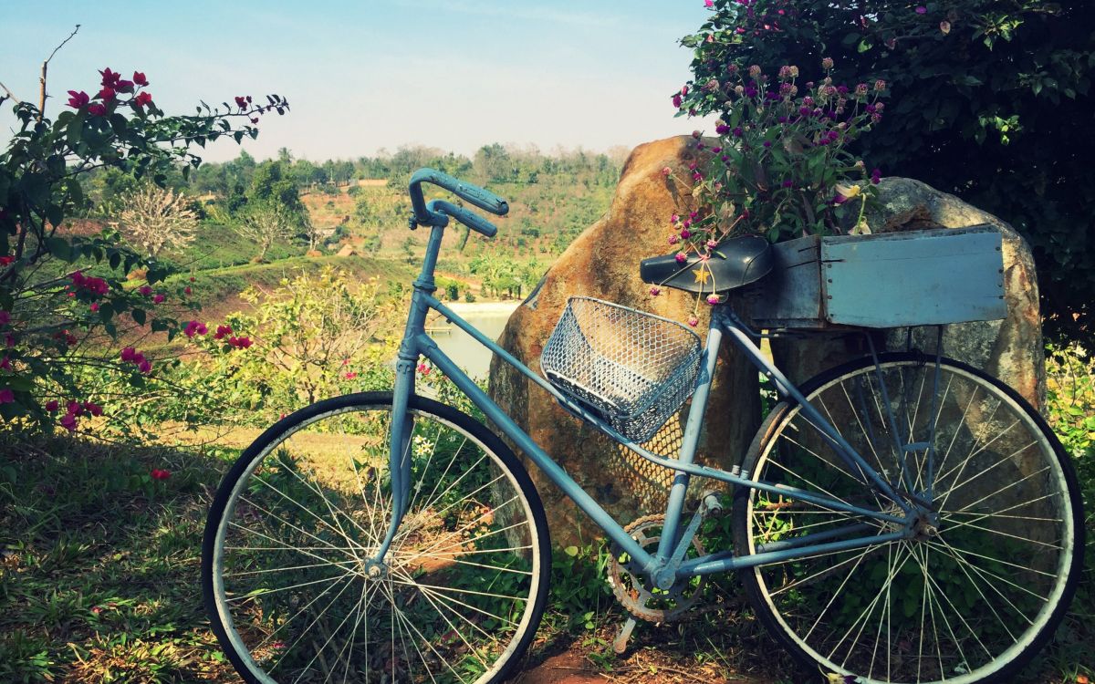 blue city bike with brown and black hat on top