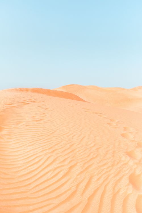 Désert du Sahara, Les Desserts, Environnement Naturel, Dune, Eoliennes Relief. Wallpaper in 3744x5616 Resolution