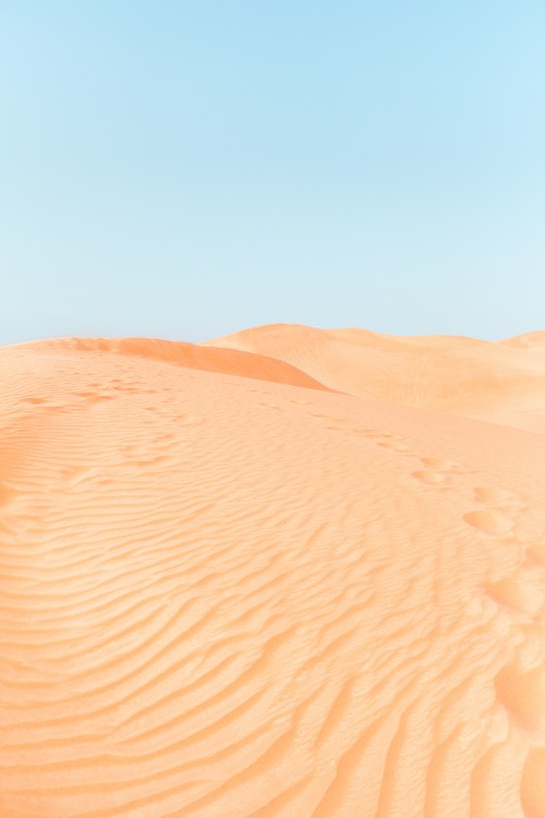 Image sahara desert, landscape, desserts, natural environment, dune