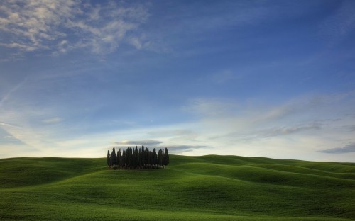 Image green grass field under blue sky during daytime