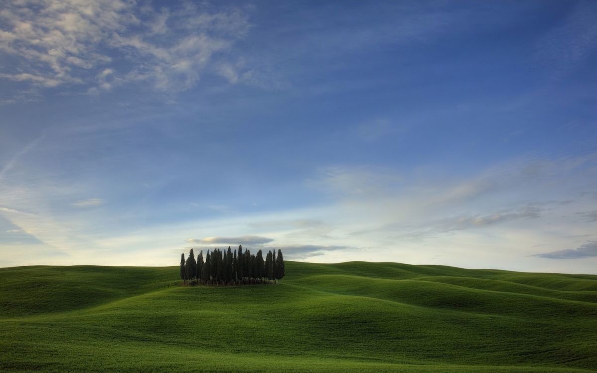 green grass field under blue sky during daytime