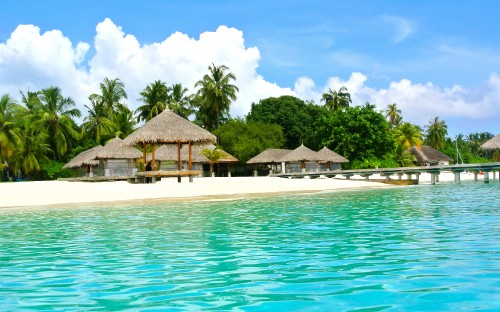 Image brown wooden house on the beach during daytime