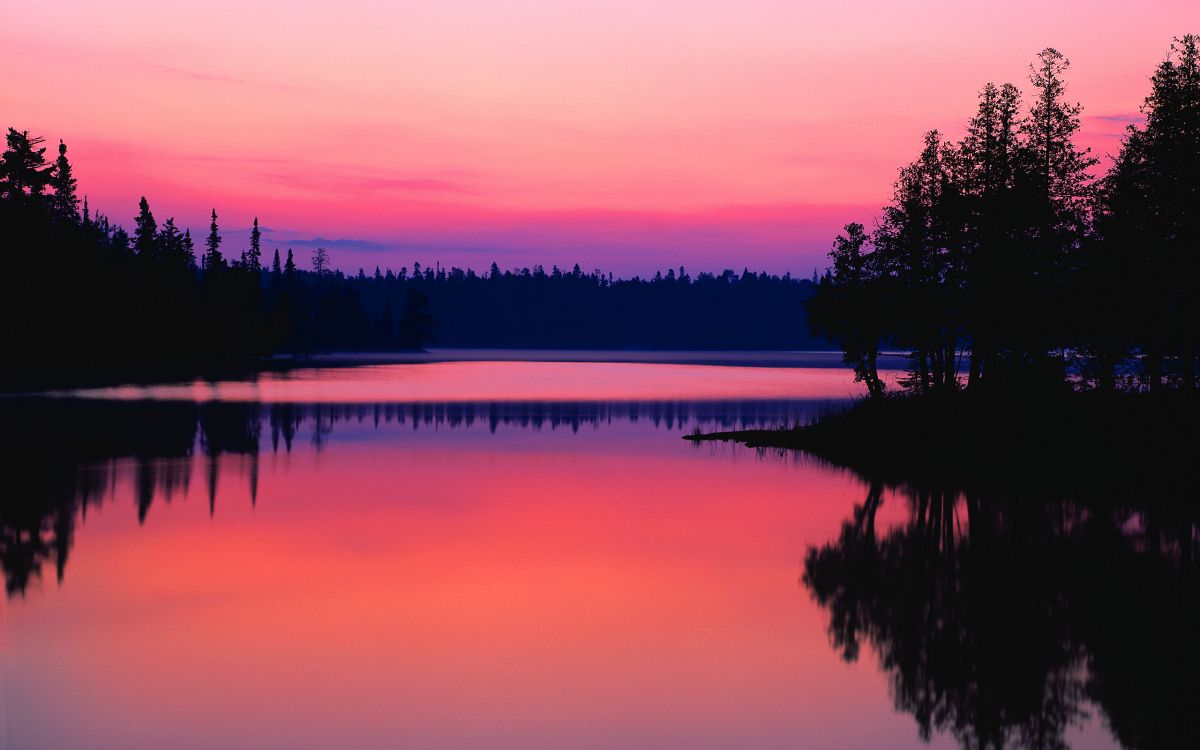 silhouette of trees near body of water during sunset