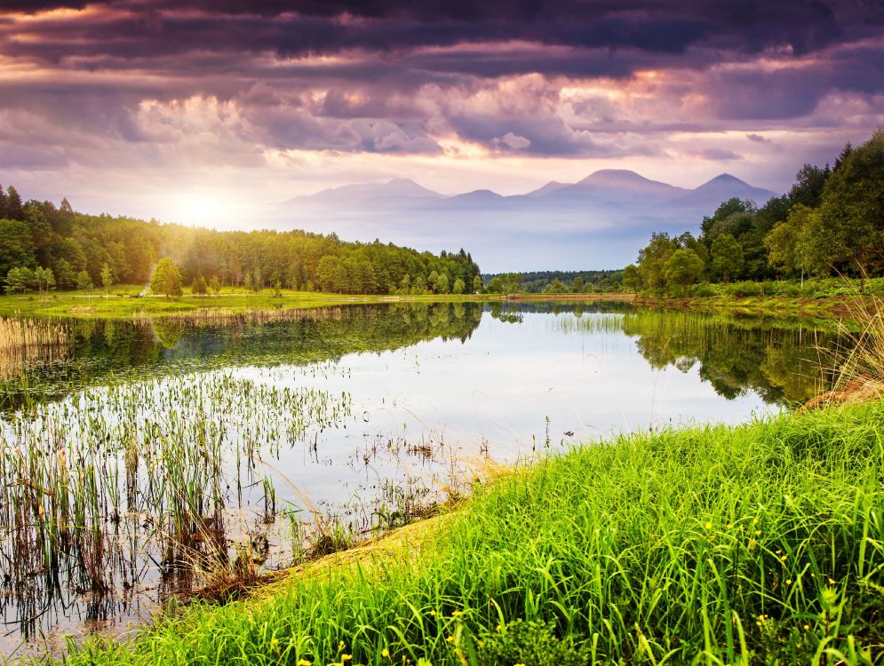 green grass field near lake under cloudy sky during daytime