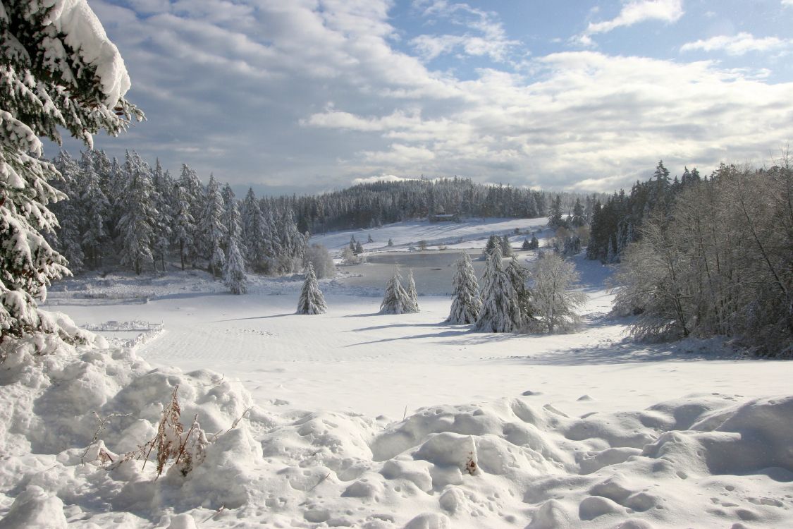 Schneebedecktes Feld Und Bäume Unter Weißen Wolken Und Blauem Himmel Tagsüber. Wallpaper in 3504x2336 Resolution