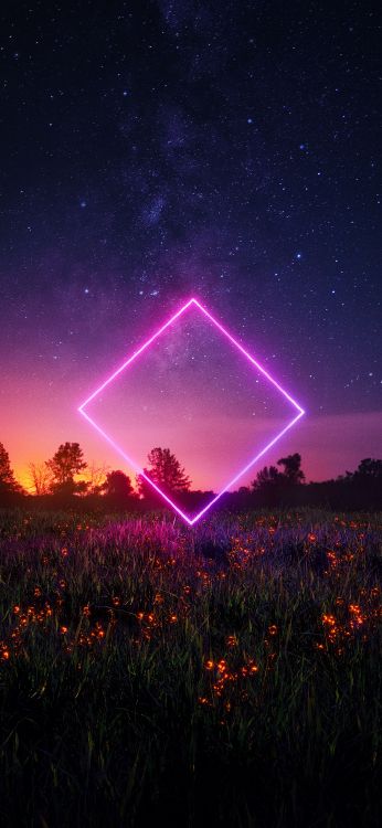 Naturaleza, Ambiente, Luz, Verde, Morado. Wallpaper in 1080x2340 Resolution