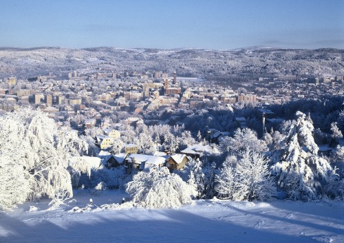 Image aerial view of city during daytime