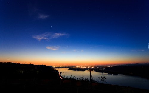 Image silhouette of trees during sunset